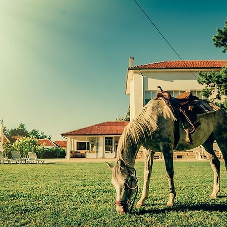 Guest House Ongal Krushuna Exterior foto
